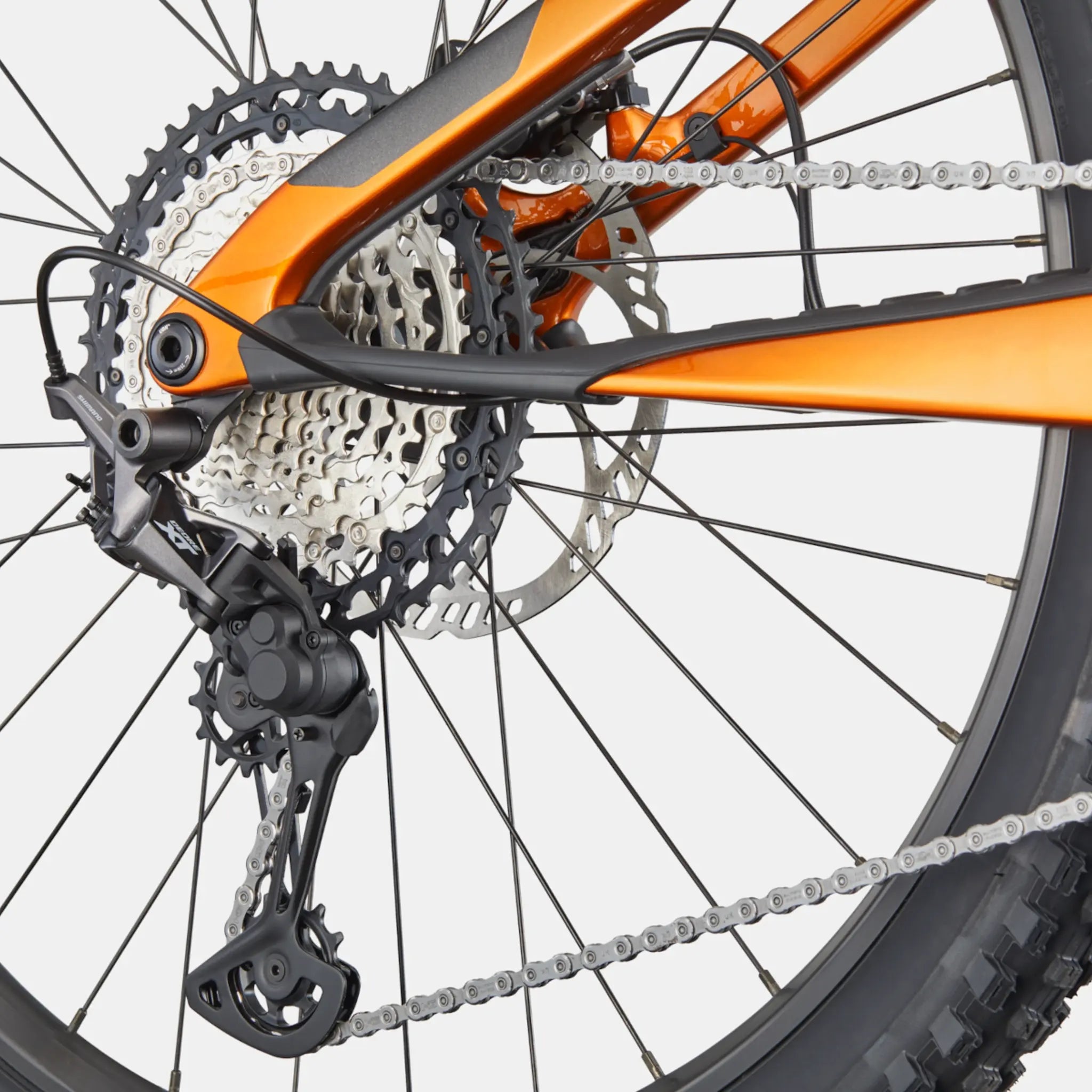 Cannondale Moterra SL 2 Carbon – E-MTB Trail