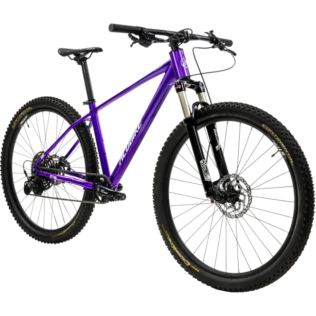 Bicicleta Alubike XTA 2.0 Purpura 1x11