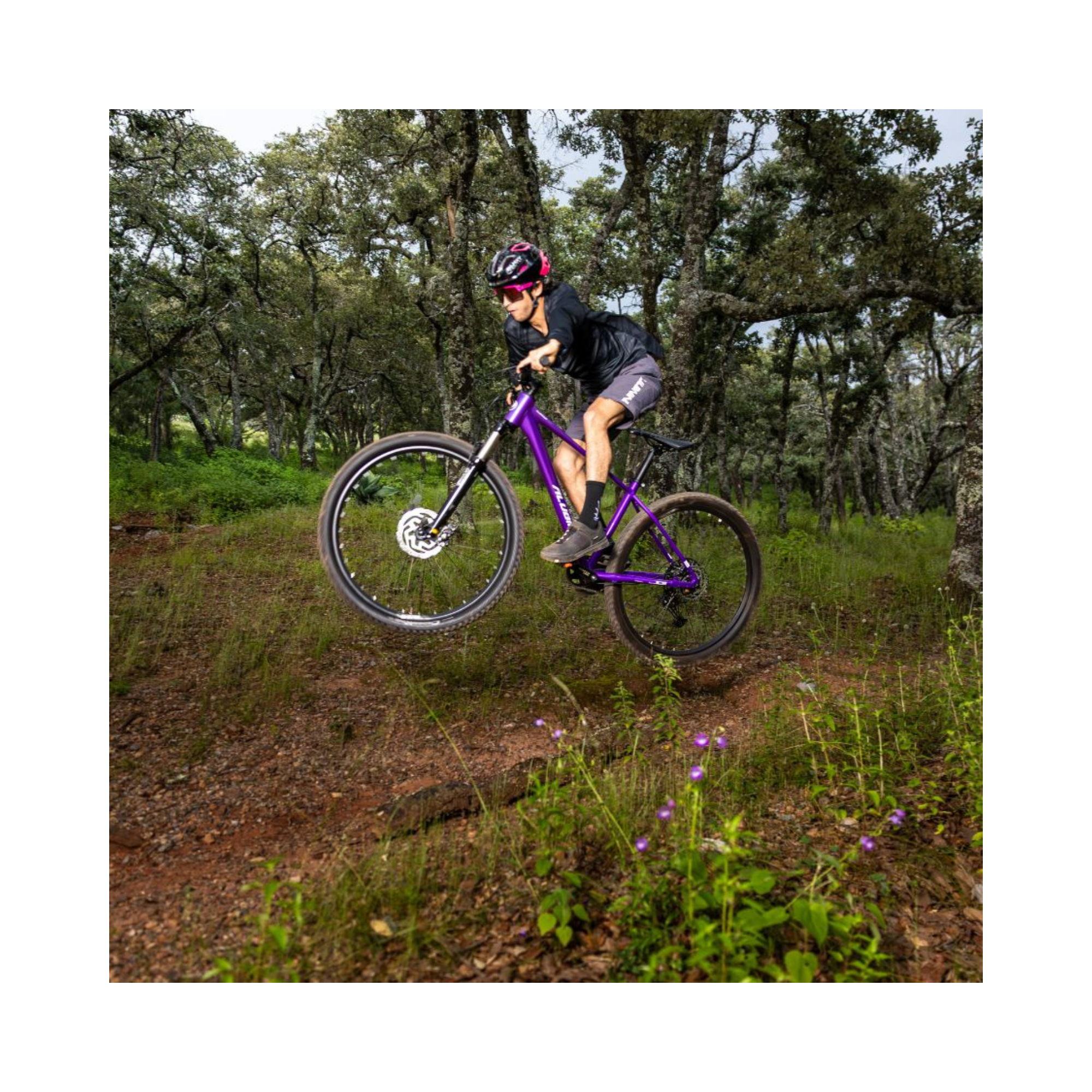 Bicicleta Alubike XTA 2.0 Rodada 29 Shimano CUES 1x11 | Torres Bike Store