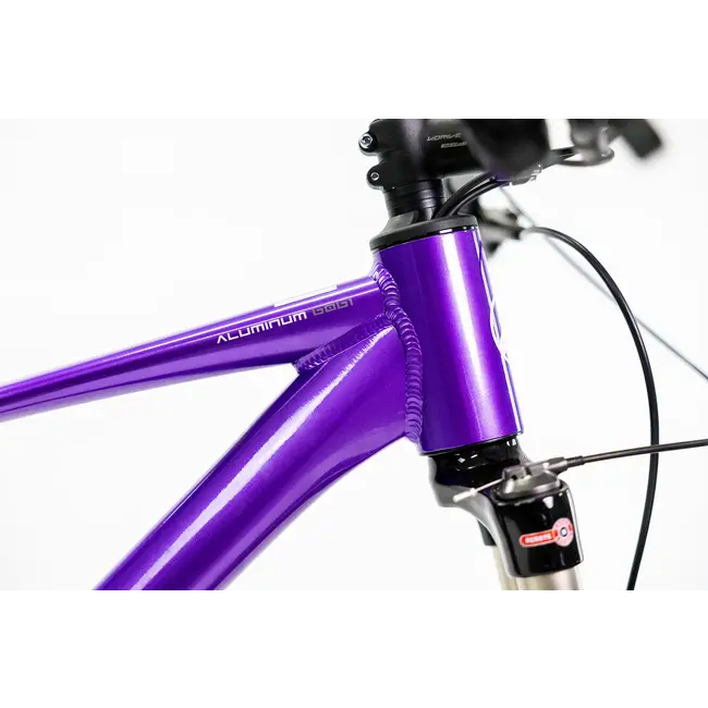 Bicicleta Alubike XTA 2.0 Purpura 1x11