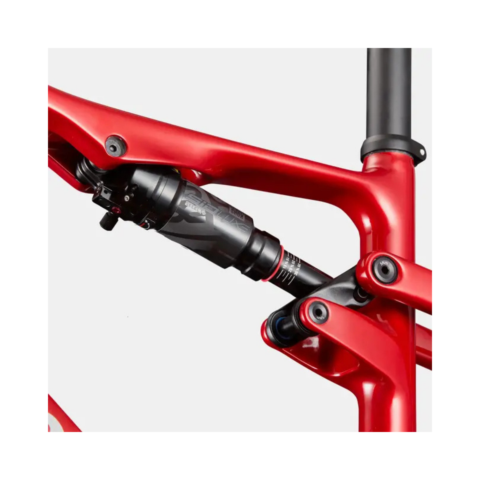 Cannondale Scalpel 4 Carbon | Bicicleta MTB XC de Competición