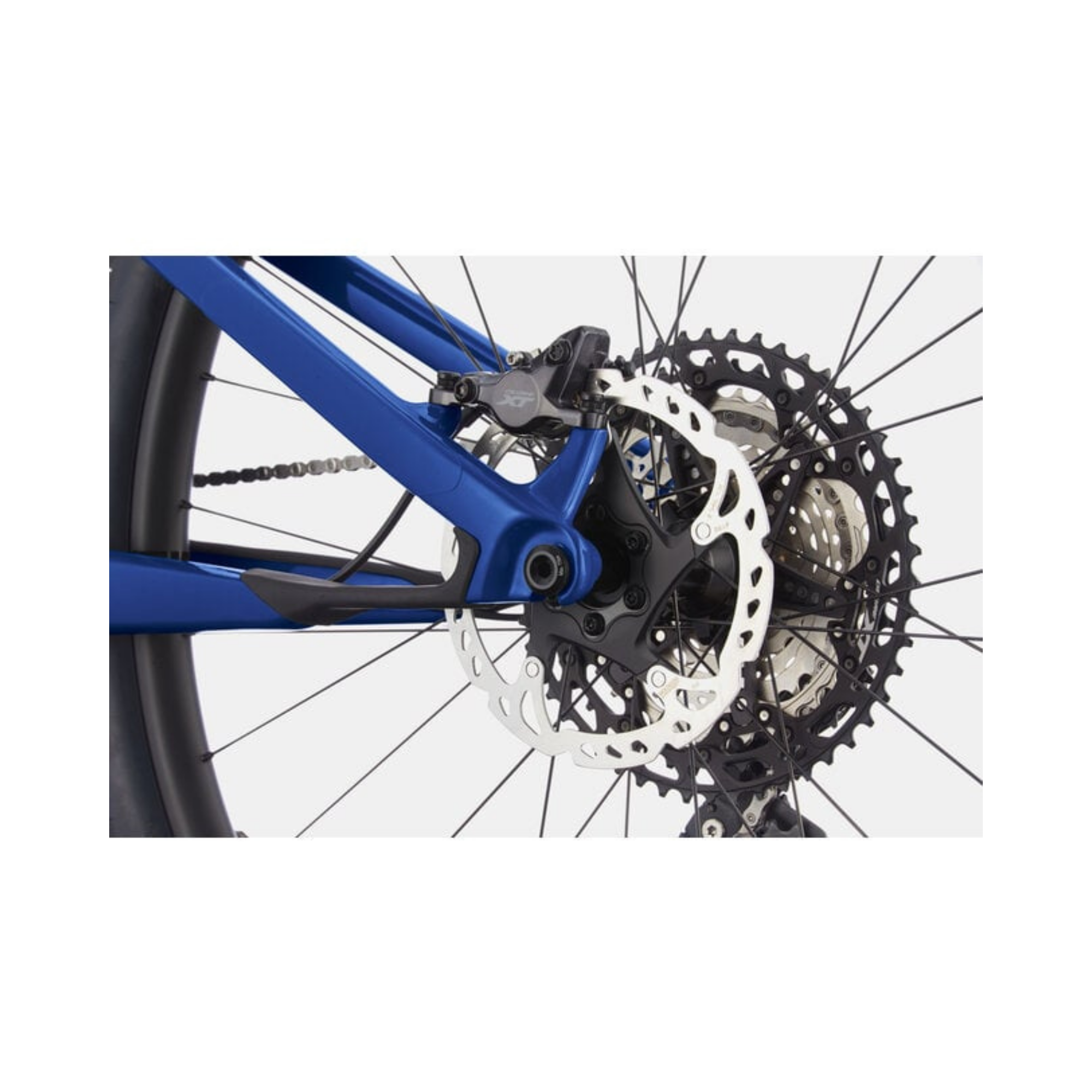 Cannondale Scalpel Carbon SE 1 | MTB XC / Down Country