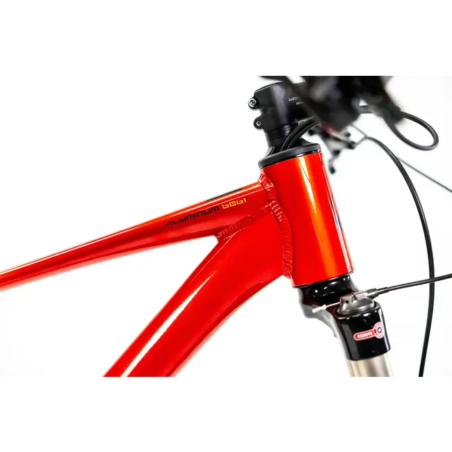 Bicicleta Alubike XTA 2.0 Rojo 1x11 Cues