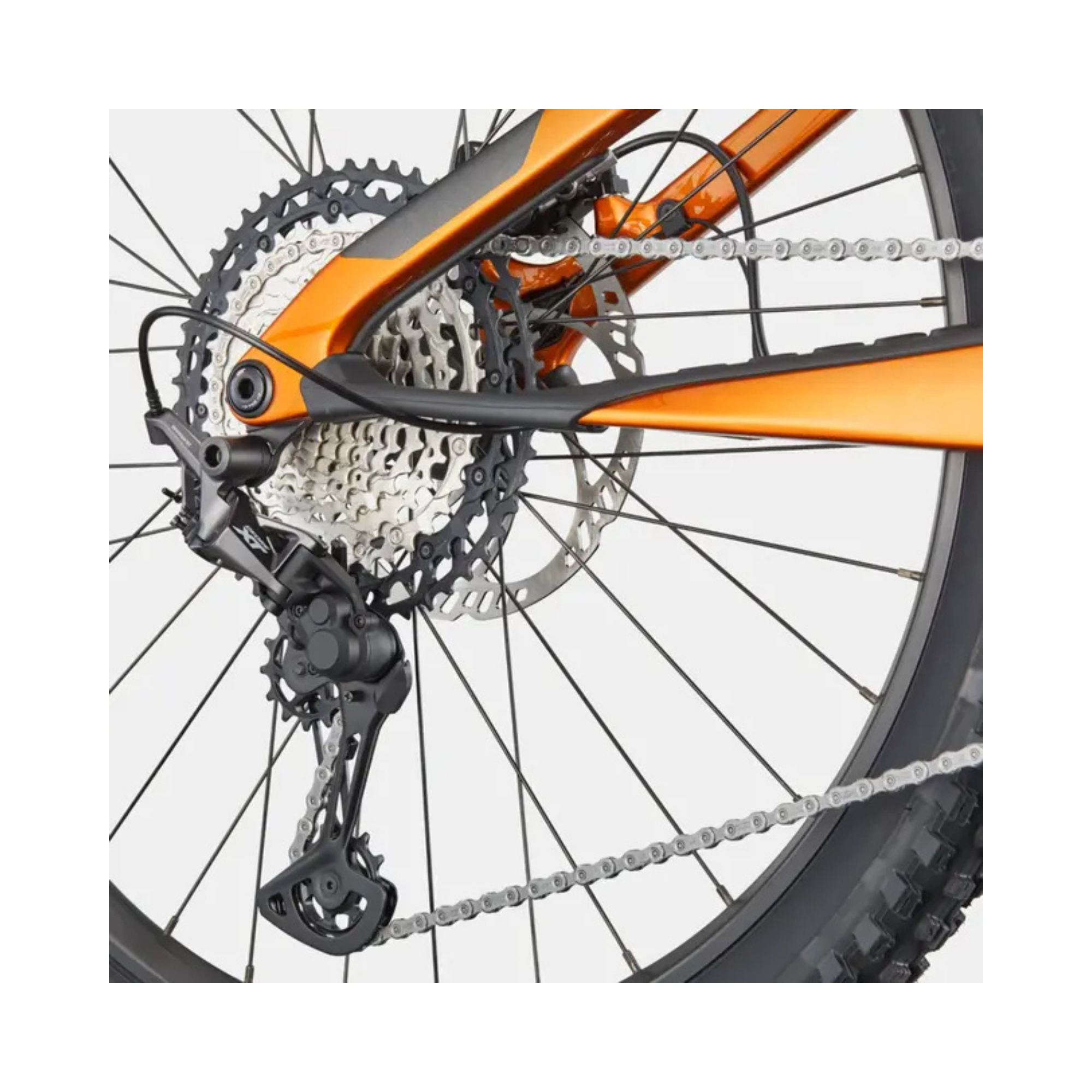 Bicicleta Eléctrica de Montaña Moterra SL 2 Carbon - Shimano EP801 | Cannondale