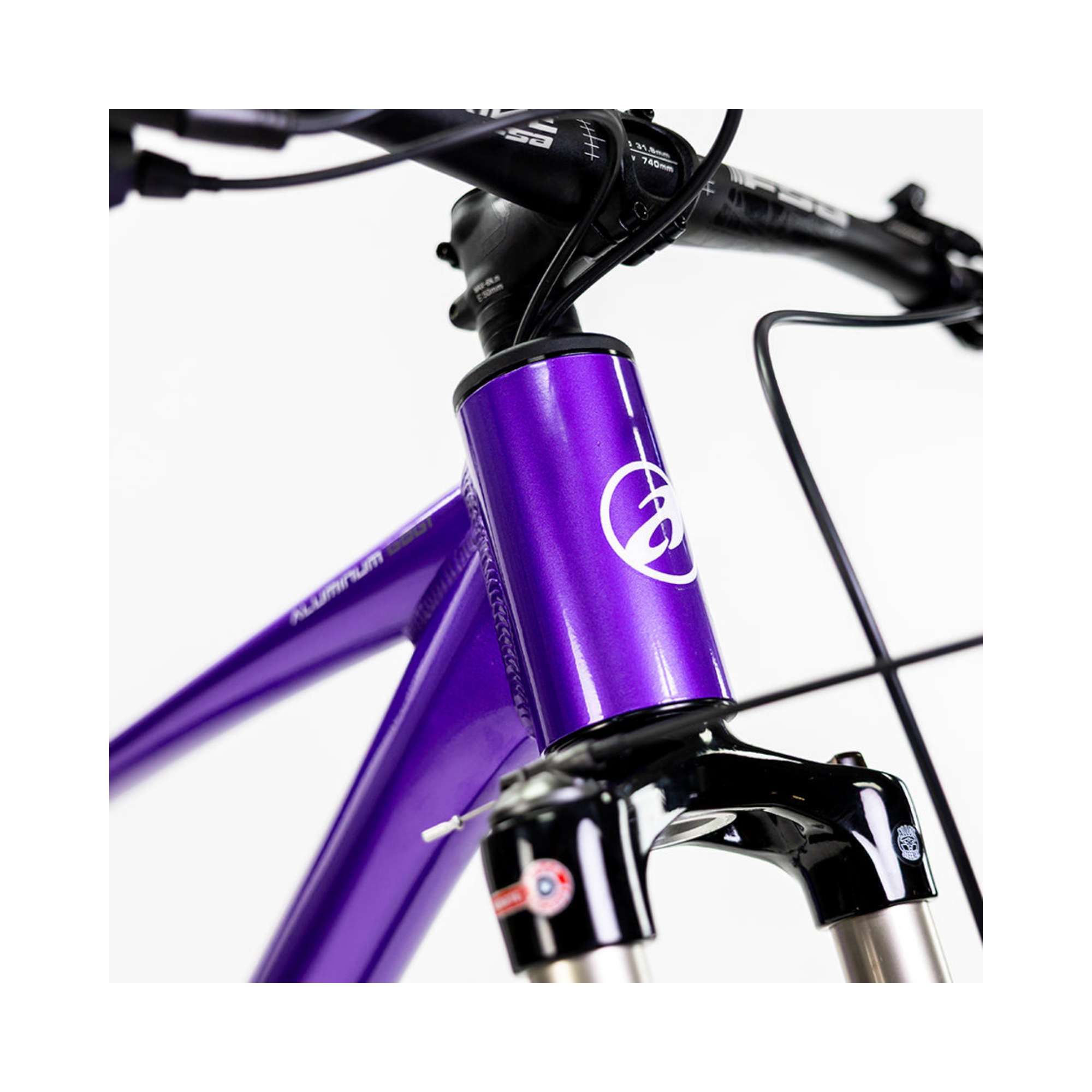 Bicicleta Alubike XTA 2.0 Purpura 1x11