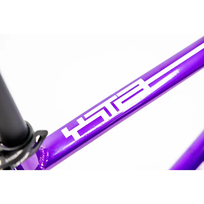 Bicicleta Alubike XTA 2.0 Purpura 1x11