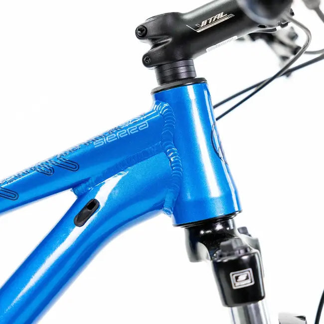 Bicicleta Alubike Sierra R 29 Azul en Aguascalientes | 6 MSI