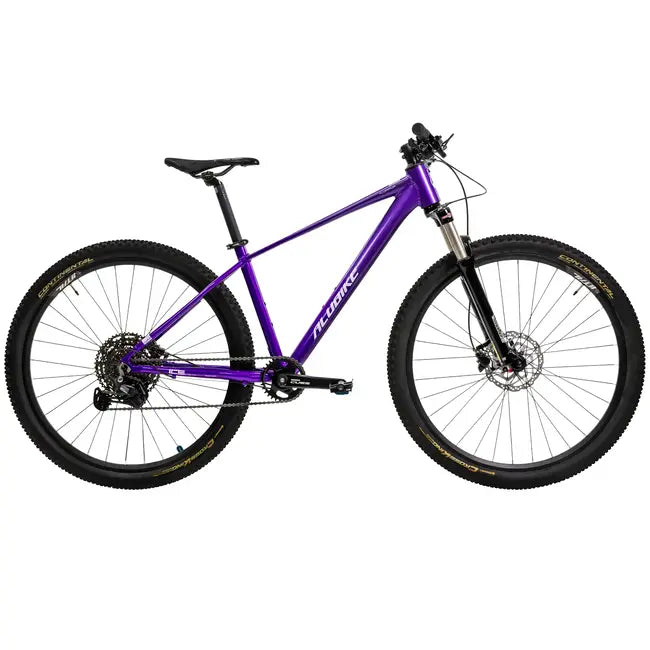 Bicicleta Alubike XTA 2.0 Purpura 1x11