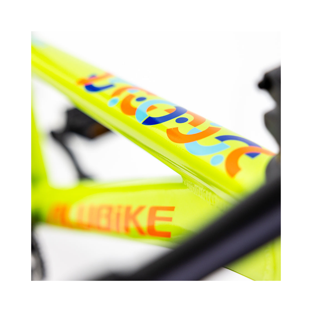 Alubike Sierra 20" Rodada 20 para Niños | Bicicleta Infantil MTB