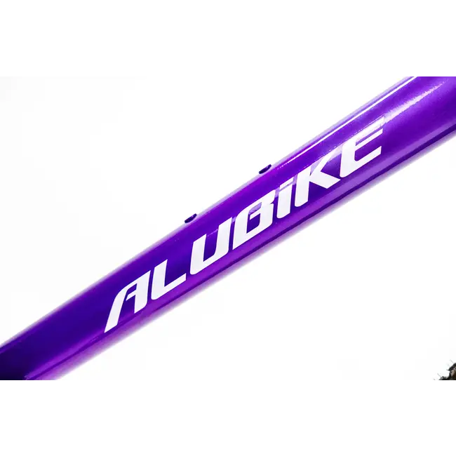 Bicicleta Alubike XTA 2.0 Purpura 1x11
