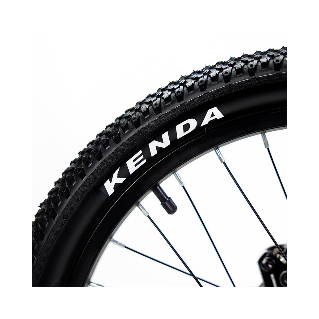 Alubike Sierra 20" Rodada 20 para Niños | Bicicleta Infantil MTB